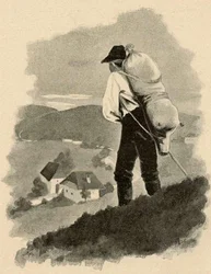 Dans la framboisière